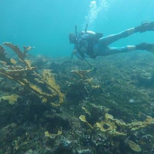 Meet your Posher, Sammy